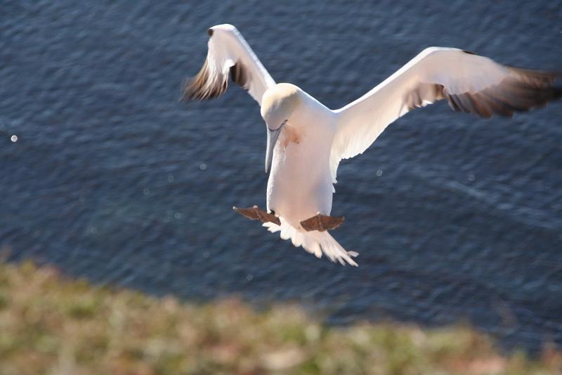 03_DP-2011-007 Bild0170c.JPG